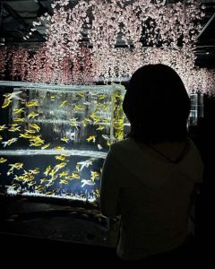 いけだれいら エロ画像074